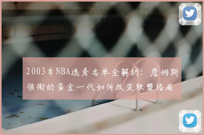 2003年NBA选秀名单全解析：詹姆斯领衔的黄金一代如何改变联盟格局