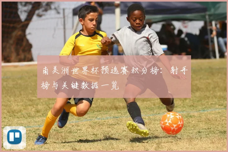 南美洲世界杯预选赛积分榜:射手榜与关键数据一览