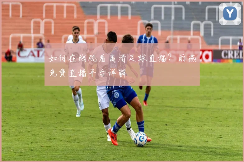 如何在线观看高清足球直播?雨燕免费直播平台详解