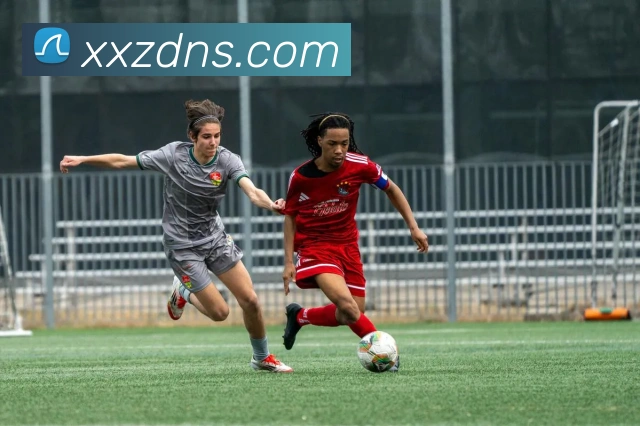 mksport体育官网入口APP 封面图